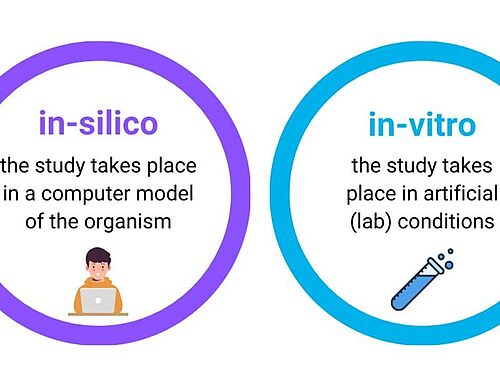 in-silico, in-vitro, in-vivo Schaubild