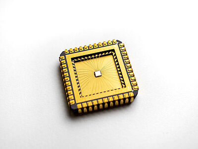 Chip